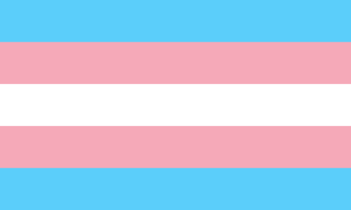 Drapeau Trans